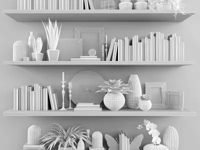 Decorative set-7 shelves with plants and books Low-poly 3D model