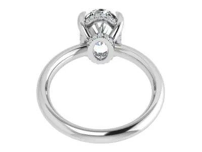 Oval Cut Ring 4248 3D print model