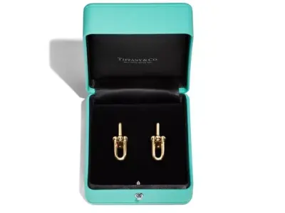Tiffany Earrings Hardwear 3D print model