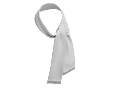 Football Fan Scarf 07 3D model