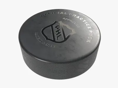 Ice Hockey Puck 3D model