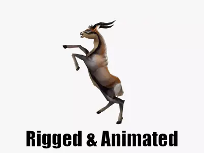 Animated Gazelle Antelope Springbok Low-poly 3D model
