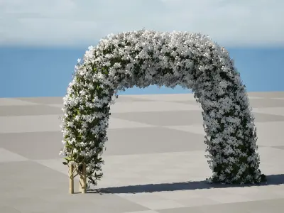 White Crepe Jasmine Arch 3D Asset Low-poly 3D model