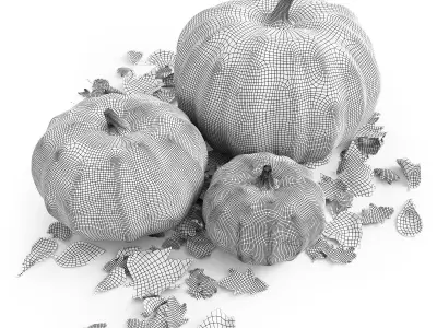 Set of pumpkins with leaves 3D model