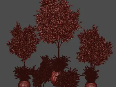 Indoor Plant olive Set 02 3D model