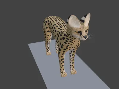 Serval Cat Game Ready Model Unreal Engine  3D model