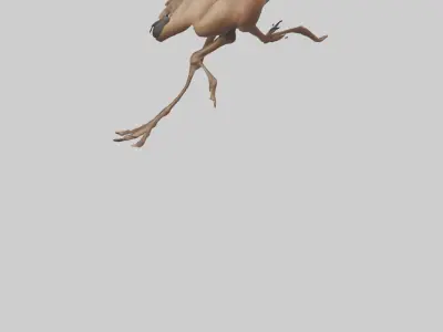 Nandu Rhea running model Low-poly 3D model