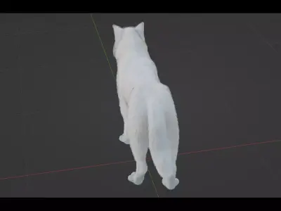 Arctic Wolf Low-poly 3D model