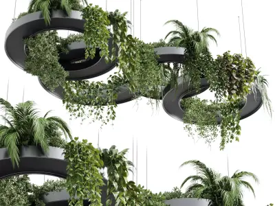 Hanging Plants Indoor plants 309 Low-poly 3D model