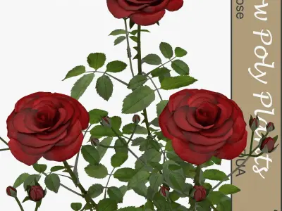 Low Poly Plants dandelion flowers Low-poly 3D model