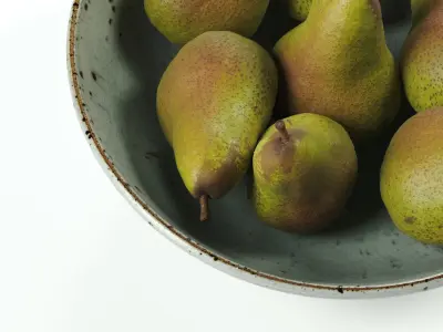 polypasta - WK Keramik fruit bowl 01 with pear 01 3D model