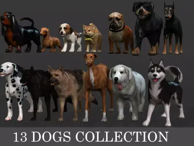 13 Dogs Pack 3D Model Collection Low-poly 3D model
