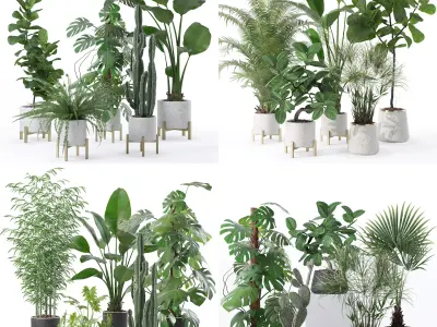 20 Photorealistic Flowers for Interiors - set 118 120 128 131 3D Model Collection