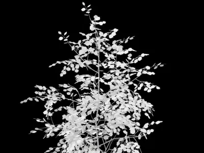 Birch Tree With White Leaves Low-poly 3D model
