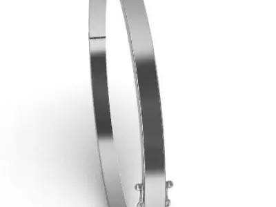 Turtle Bangle 3D print model