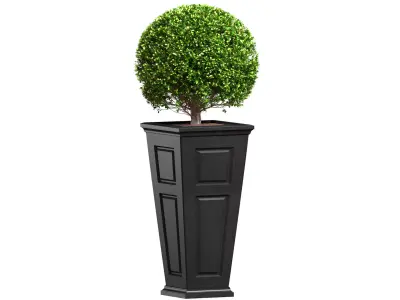 Contemporary Art Deco Boxwood in Pot Front Patio Porch Balcony 3D model