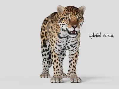 Jaguar For Production 3D model