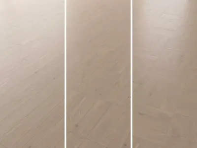 Parquet Oak Tundra Brushed set 3 3D model