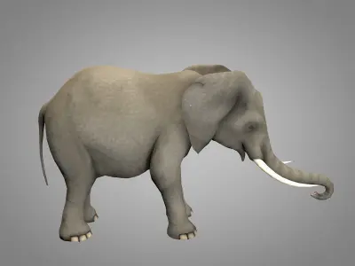 Elephant with tusks Low-poly 3D model