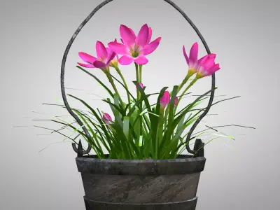 Flower - Pink Nature 3D Model 3D model