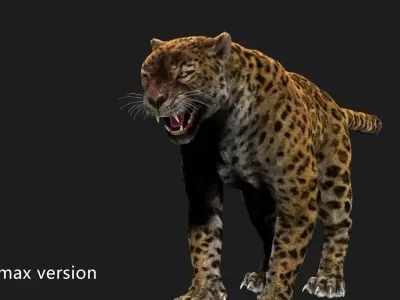 leopard panther puma jaguar Low-poly 3D model