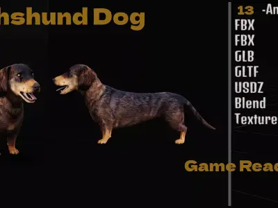 Wiener Dog Low-poly 3D model