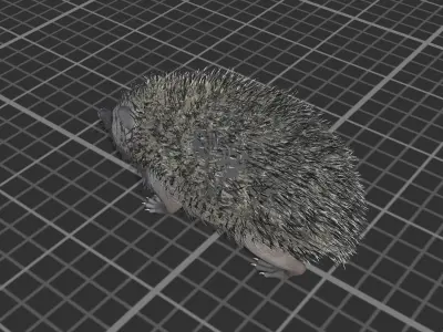 Hedgehog Low-poly 3D model