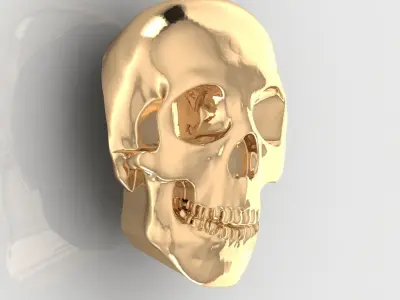 Skull 11 3D print model