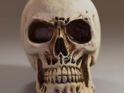 Small Decorative Skull - 3D Scan Low-poly 3D model