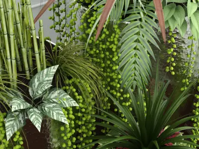 Room plants 3D model