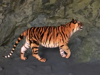 Tiger 3D model get
