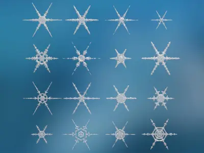 16 Unique Snowflakes Low-poly 3D model