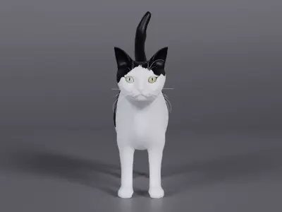 Cat rigging Low-poly 3D model