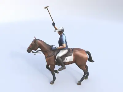 Polo 3D model