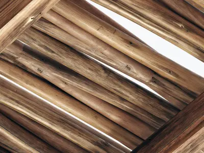 Branch thin thick decor n1 3D model