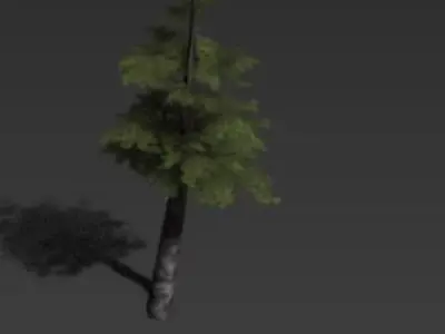 arbores Low-poly 3D model