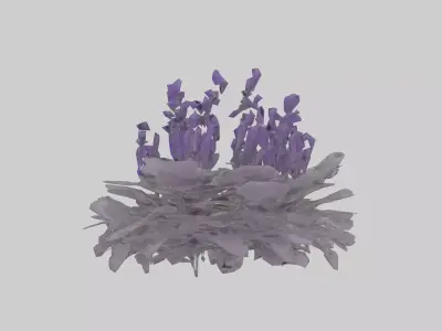 Salvia model Low-poly 3D model