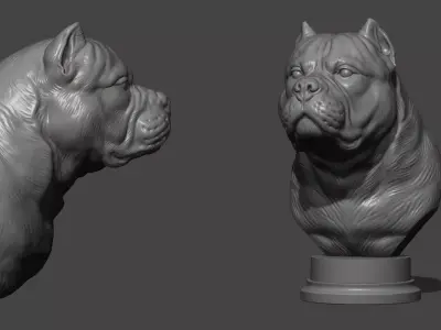 American bully bust 3D print model