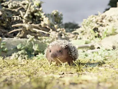 Hedgehog 3D rigged animated  3D model