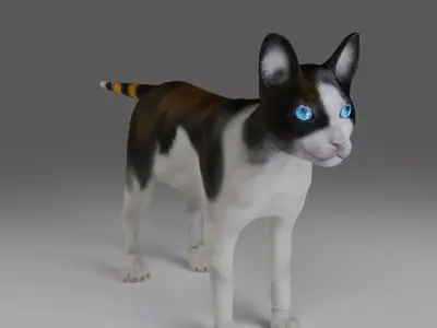 Calico Cat NO Rigged in Blender Low-poly 3D model