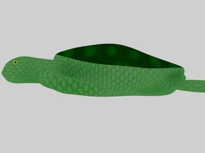 Turtle Low-poly 3D model