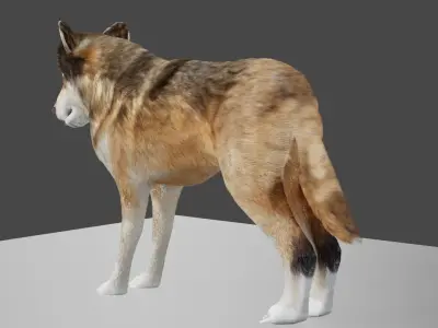 wolf 3d Low-poly 3D model
