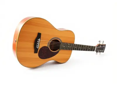 Acoustic Guitar Model Pack for Realistic Rendering and Animation Low-poly 3D model