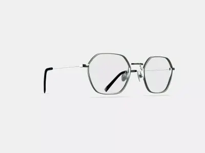Keiko Eyeglasses in Polished Silver 3D model