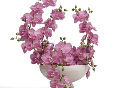 Sculpted Serenity Pink and White Orchids 3D model