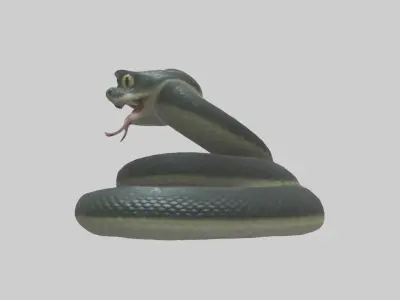Babysnake Model 1 Low-poly 3D model