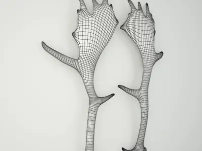 Naturally Shed Moose Antlers 3D model