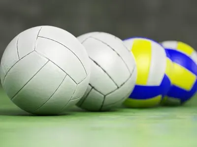 Volleyball set with 4 types material 3D model