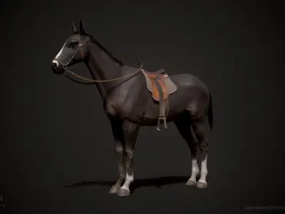 Classic Horse Animated Asset Low-poly 3D model