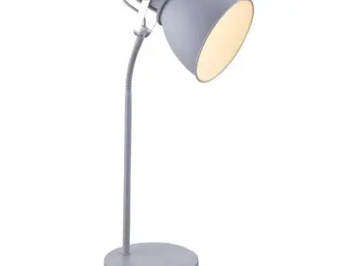 Popel Desk Light Lamp - 2 Option 3D model